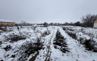 Teren Intravilan Becicherecu Mic 3200mp,F.S 40ml la DN6,Utilitati - Poză 3