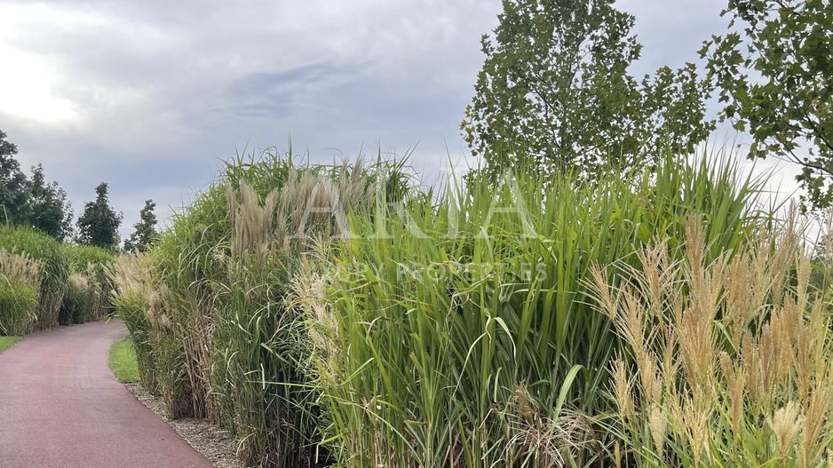 Dumbrava Vlasiei – Armonie între design, lumină și natură - Poză 13