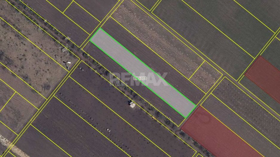 Teren agricol de 40 ari în Ghidighici – oportunitate pentru investiție sau activitate agricolă - Poză 6