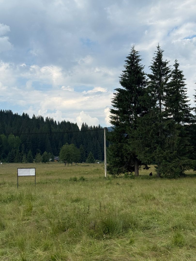 PARCELE DE VÂNZARE, pe malul râului BÂSCA, COMANDAU, COVASNA - Poză 10