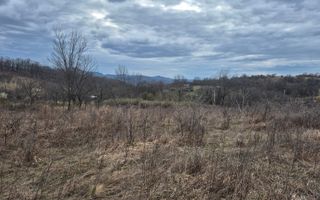 Vand 2 parcele de 5700 mp zona Iabalcea - Poză 4