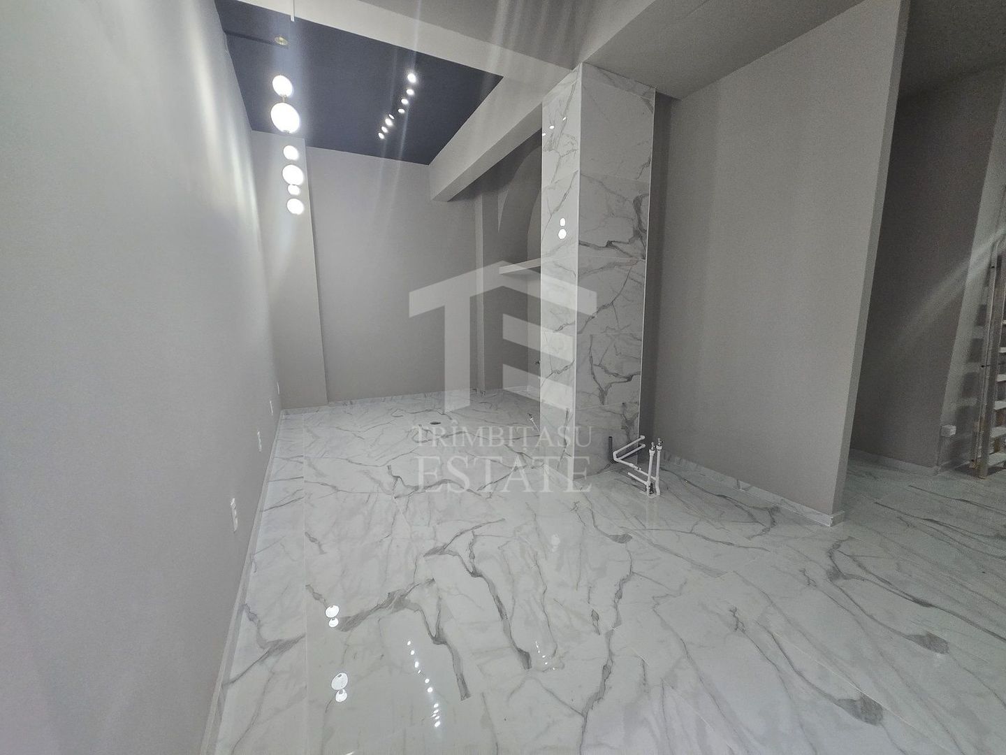 Spatiu comercial 101mp Dristor McDonald's Metrou Stradal Camil Ressu - Poză 10