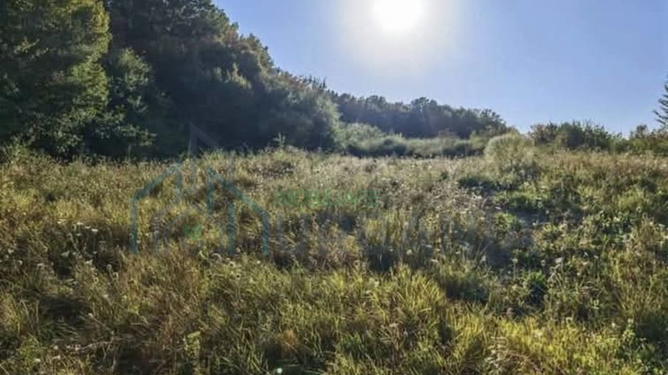Teren de 6200 mp în intravilan, Barnova – ideal pentru pensiune turistică sau parcelare case de vacanță - Poză 1