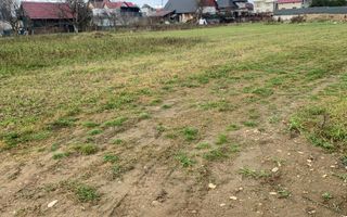 TEREN DE INCHIRIAT /MARGINEA 2000 mp - Poză 6