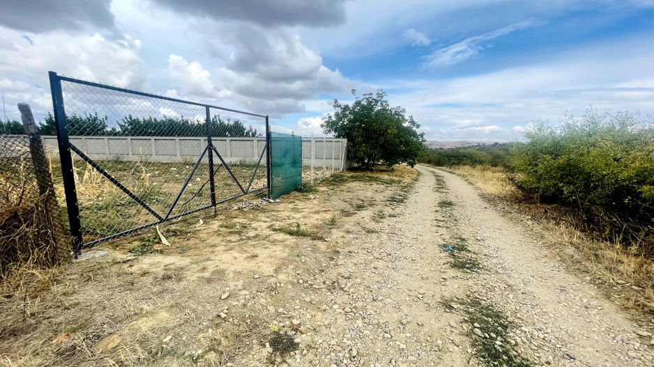 Teren intravilan de 2200 mp în Paleu – Front stradal 18 ml - Poză 2
