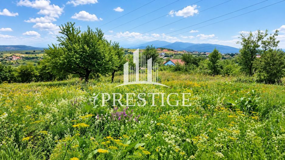 TEREN INTRAVILAN 960 MP ÎN DAIA NOUĂ | ÎMPREJMUIT | UTILITĂȚI - Poză 6