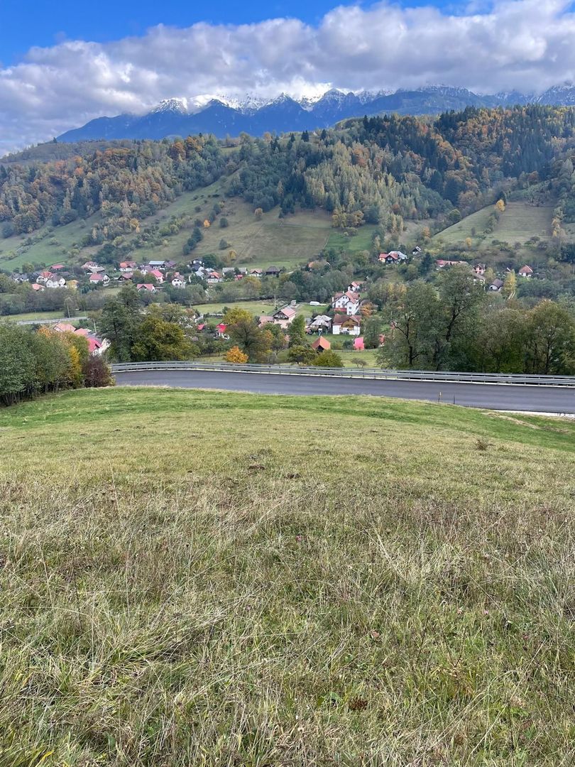 Teren extravilan cu priveliste catre Bucegi – Moieciu de Jos 4.700 mp - Poză 10