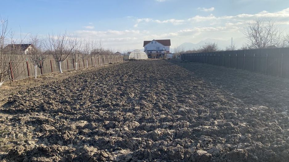 Sanpetru teren intravilan de 1350mp ingradit, 46 euro/mp - Poză 1