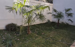 Apartament cu 3 camere, curte 2 locuri parcare, Parc Bazilescu - Poză 5