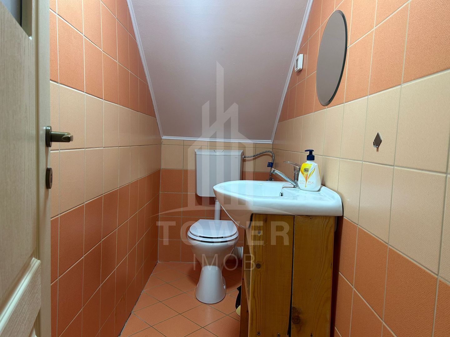 Casă de vacanță în Râu Sadului - Poză 6