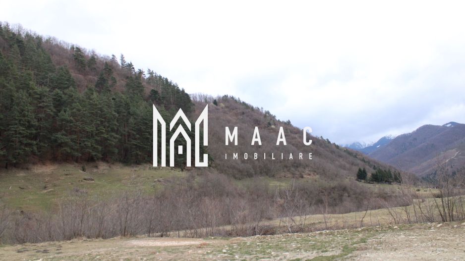 Pământ I Fereastră către Eternitate în  Transilvania - Poză 4