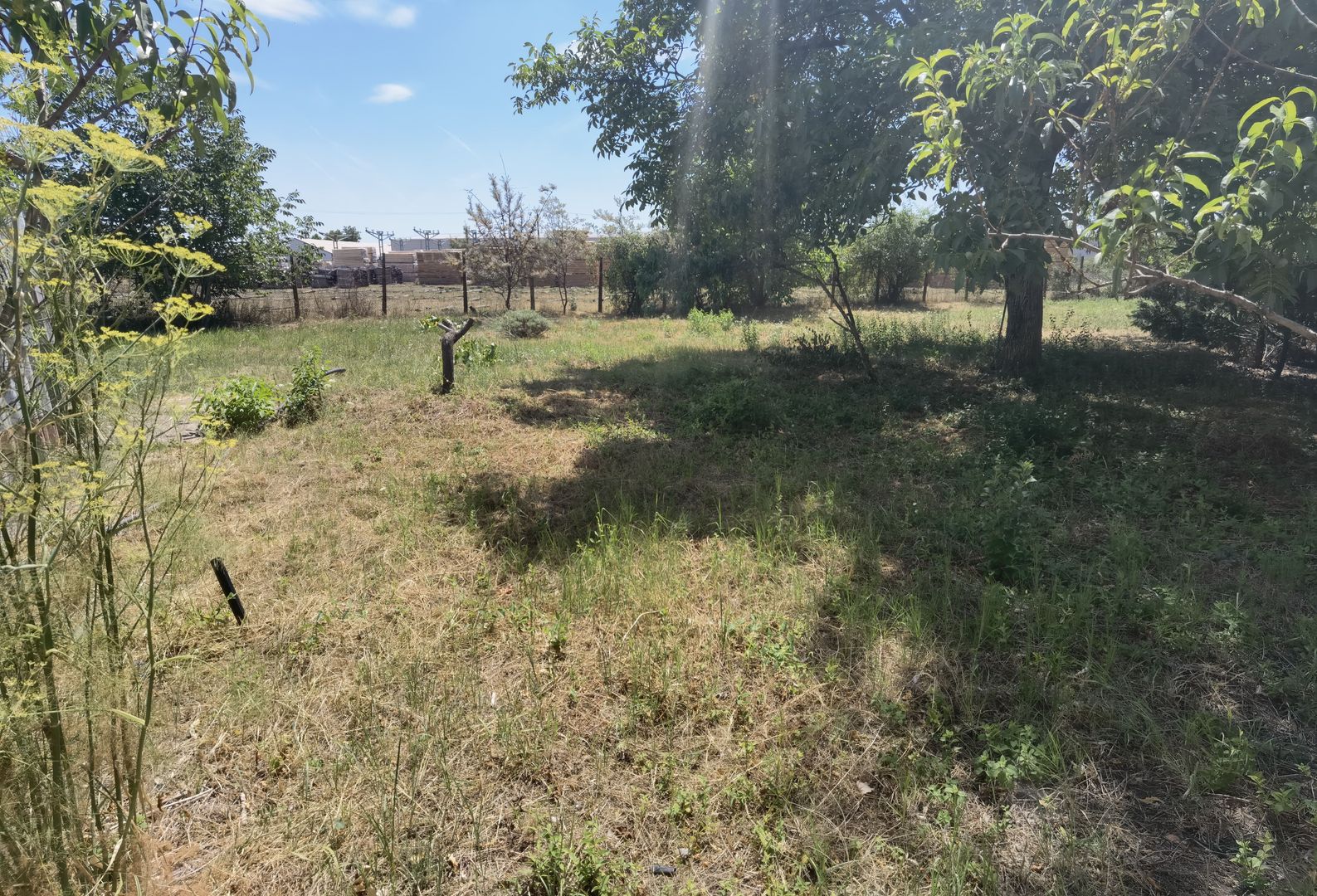 Spatiu industrial zona Sud-Arad - Poză 25