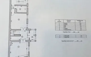 VANZARE - VILA 9 CAMERE  - Vasile Lascar, Mihai Eminescu, Bd. Dacia - Poză 29