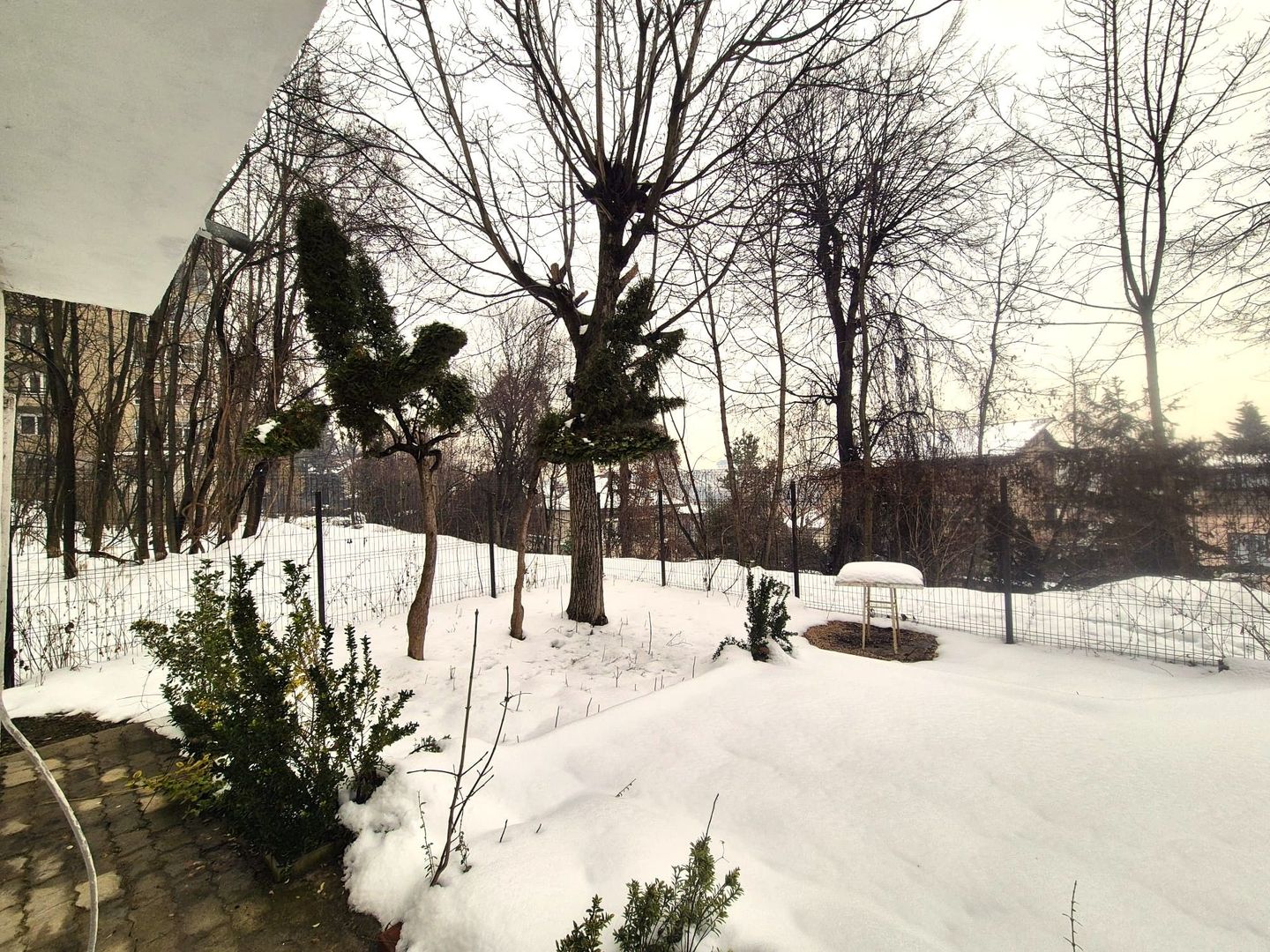 Ultracentral, apartament in casa, pretabil locuit / birouri, pet friendly. - Poză 2