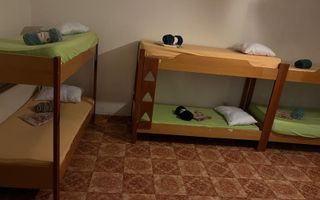 Vila 7 Camere, Sagului-Mures - Poză 8