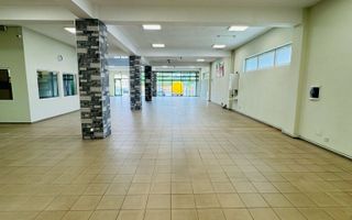 Trafic Micalaca de închiriat spațiu comercial P+E cu Depos. + Parcare - Poză 5