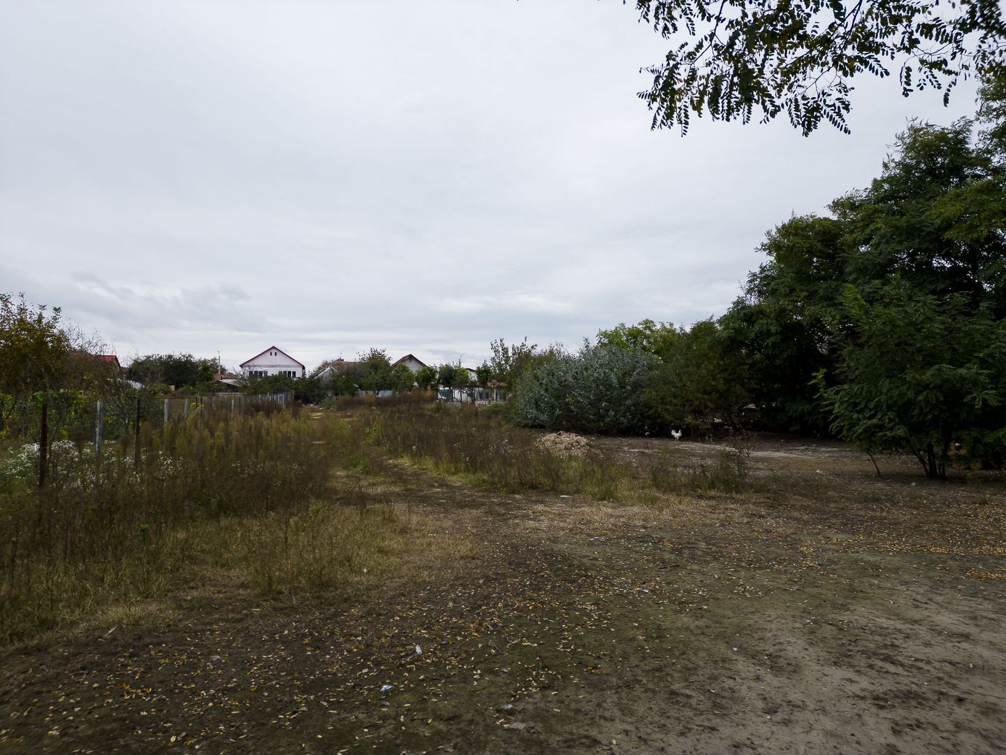 Teren intravilan de 2012 mp în Ghiroda Jud. Timiș - Poză 19