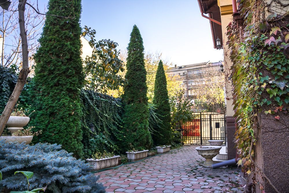 Vila interbelica de LUX consolidata integral, Matei Basarab, Traian - Poză 30