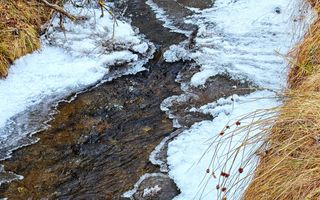 8.263 mp Teren cu Pârâu și Izvoare în Beliș-Fântânele, Cluj - Poză 2