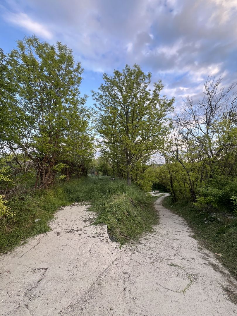 12,5 Ari Teren pentru Constructii Răzeni/Ialoveni - Poză 3