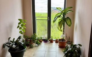 EXCLUSIVITATE! Apartament 1 cameră. Investitie, inchiriere. - Poză 8