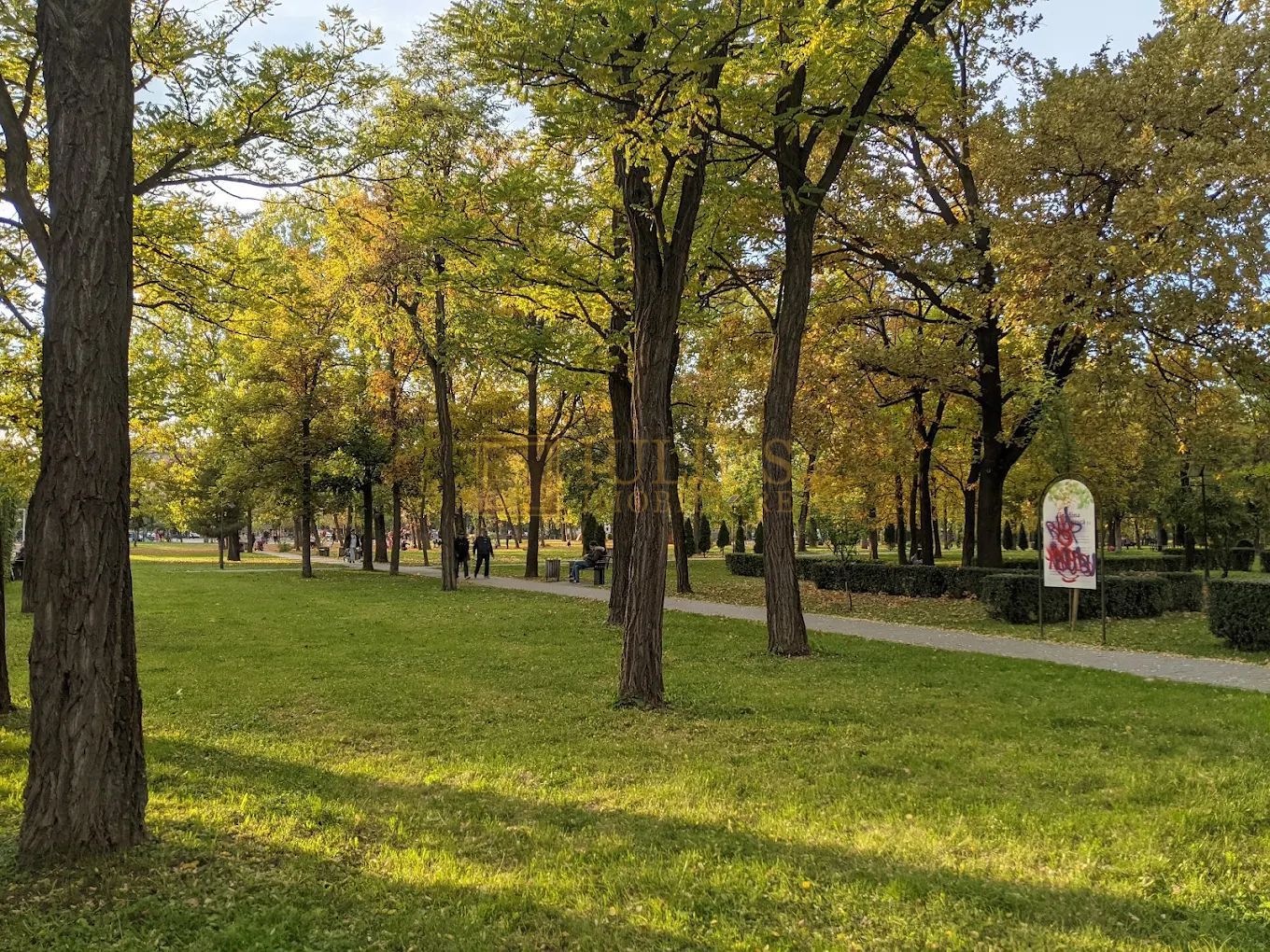 2 camere zona Soarelui, centrala proprie, loc de parcare - Poză 7