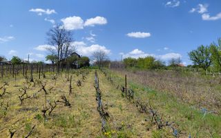 Teren intravilan 3.250 mp în Filești – Ideal pentru casă sau investiție! - Poză 7