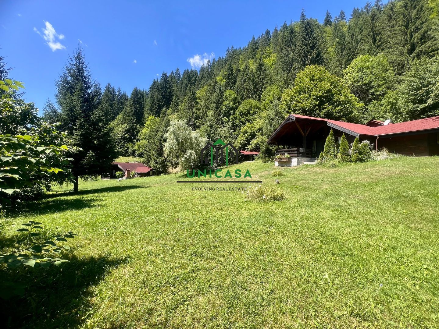 Proprietate deosebita de vanzare – Voinesița, Comuna Voineasa - Poză 11