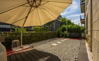 Studio Modern | Gradina Proprie | Avalon Estate - Poză 9