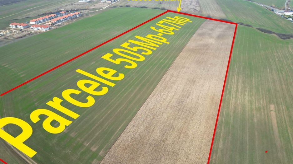 Teren la super pret-Sacalaz - Poză 1