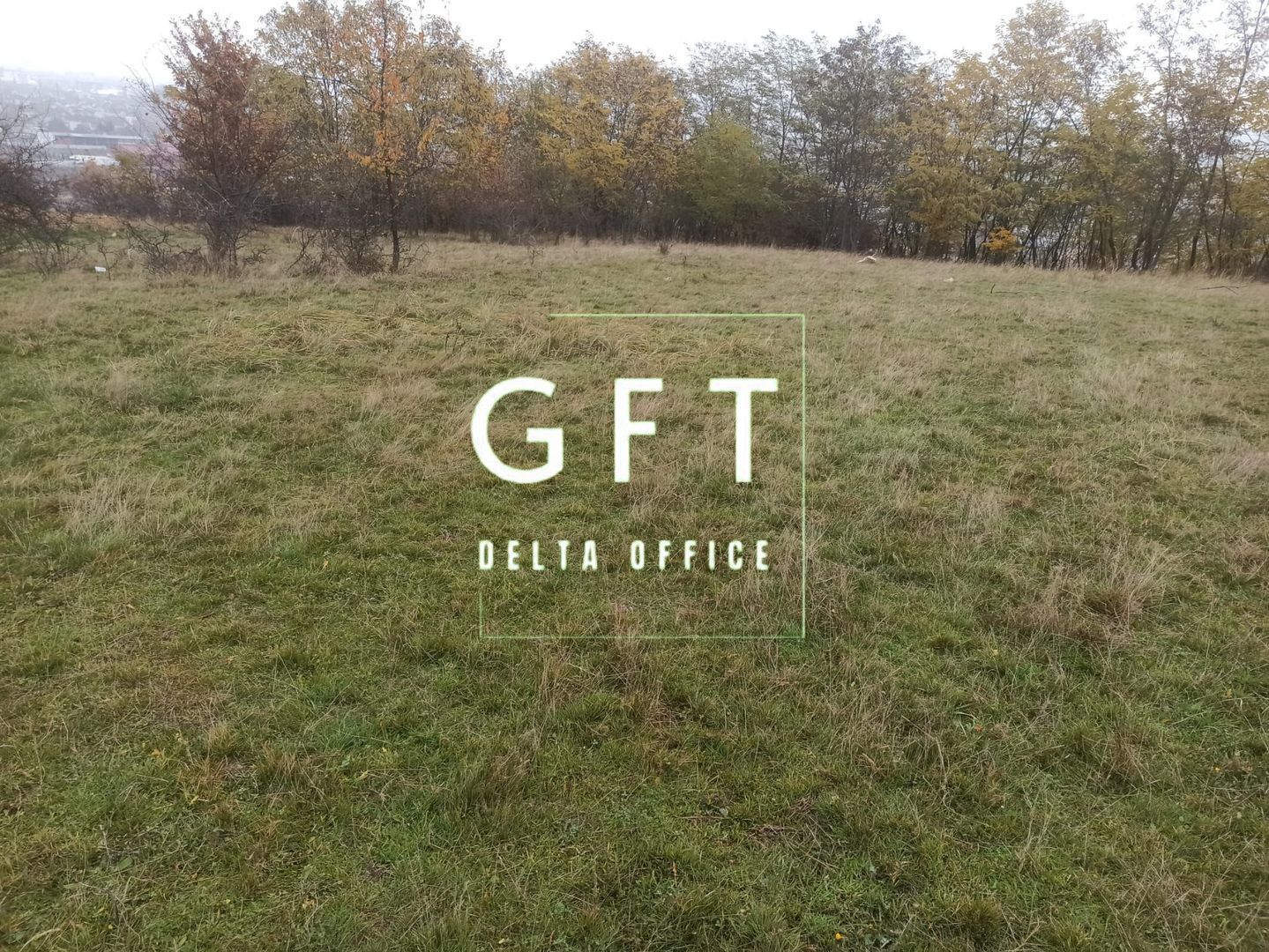 Teren intravilan 5300mp-Parcelabil-ideal casa, investitie-Zona Centura - Poză 2