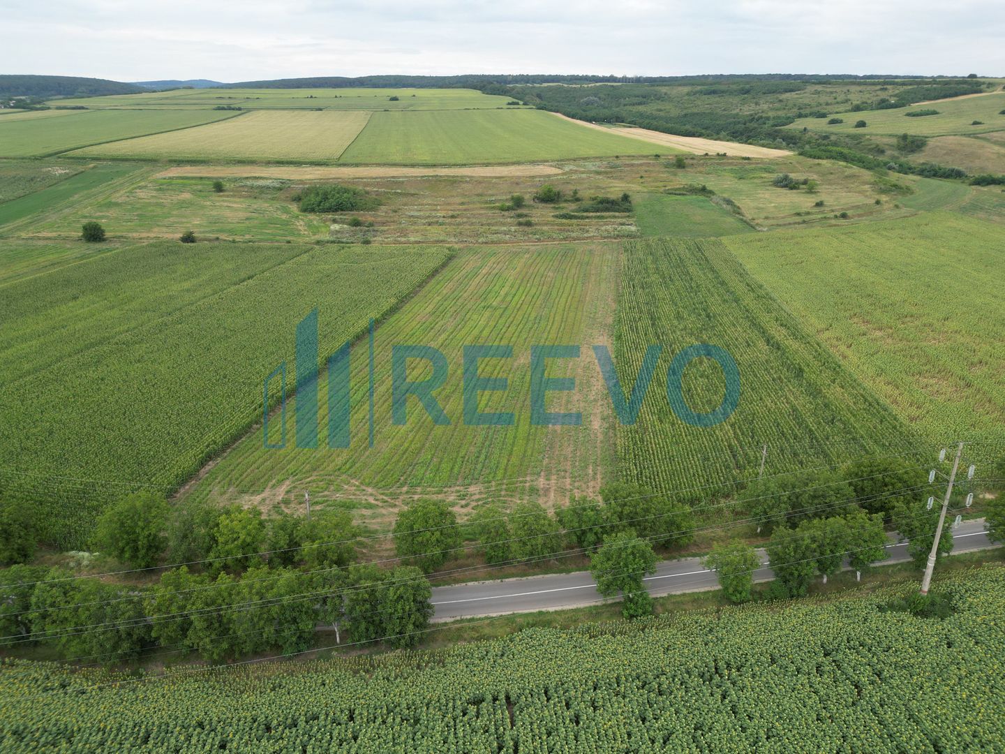 Teren de 4.400 mp Racova - Poză 6