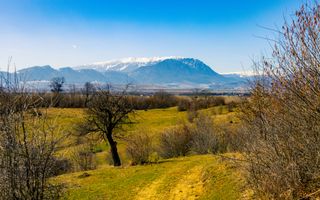 Teren 6 Hectare cu PUZ pentru Resort Turistic panorma Muntii Piatra Craiului - Poză 10