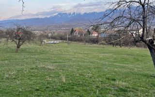 Teren extravilan de vânzare | Tălmaciu | 6.000 mp - Poză 1