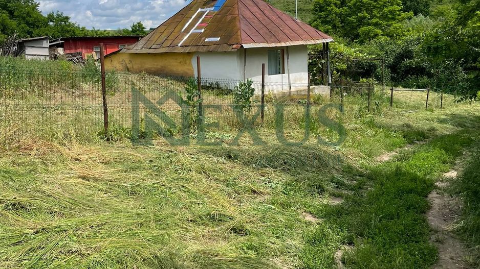 Casă bătrânească cu teren de 3.200 mp în Hertioana de Jos, jud.Bacău - Poză 11