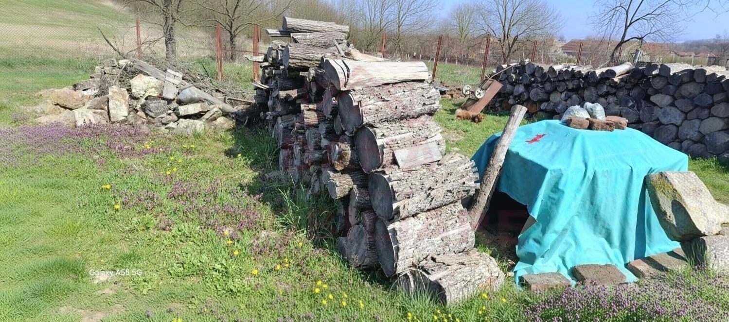 GHERTENIȘ\ CASĂ 3 CAMERE  TEREN 4636 MP\ COMISION 0% - Poză 10