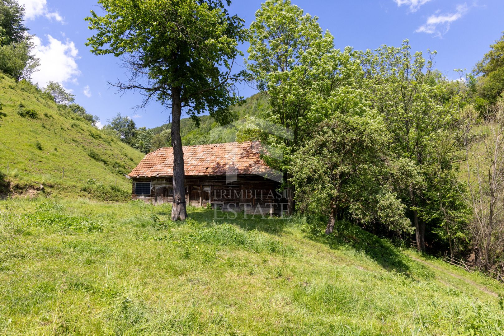 Moieciu de Jos |Teren 11.381 mp | Panoramă, potențial turistic - Poză 14