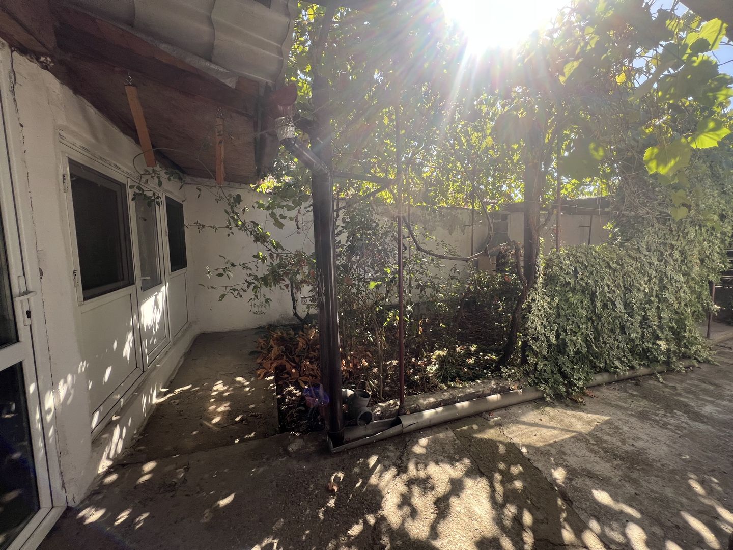 vand casa in Schela,gaz la poarta - Poză 7