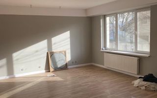 Vila Iancu Nicolae - Poză 14