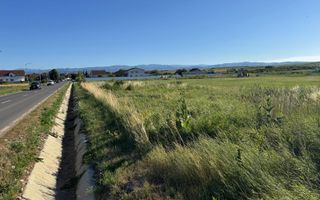 Teren 2500mp Sura Mica - Ocna Sibiului | 162.500 EUR - EXCLUSIVITATE - Poză 6