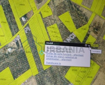 Teren intravilan 5.050 mp Tomesti Chicerea | P+2E | casa sau parcelare - Poză 4