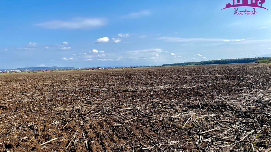 Teren pentru investitii zona Grigorescu - Poză 1