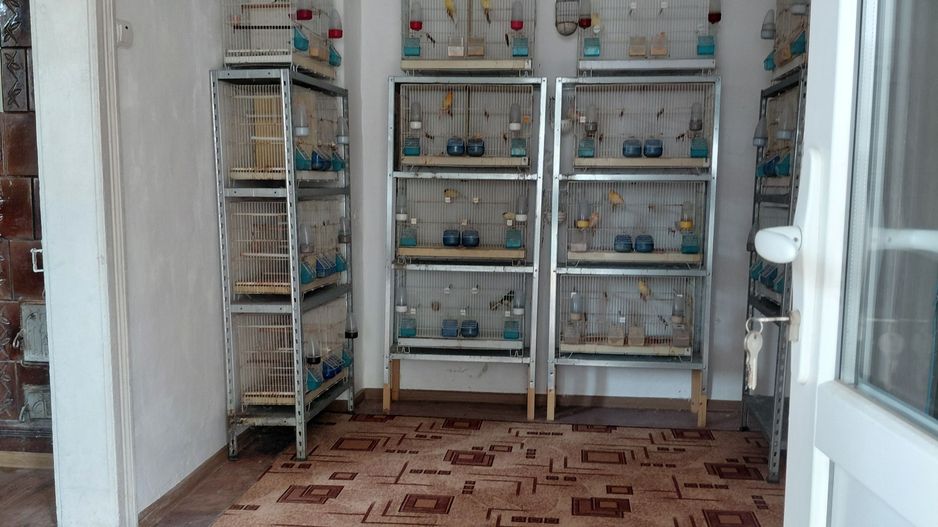 Casa  Galati zona Parcul Carol - Poză 4