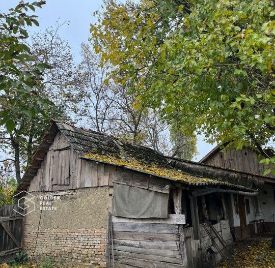 Casa traditionala cu gradina de 2200 mp, Peregu Mic - Poză 3