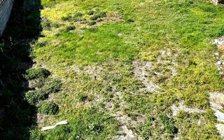 Casa 4 camere | Garaj | Teren 400 mp | Gusterita - Poză 7