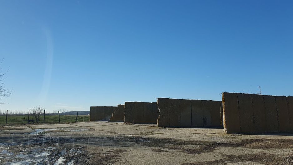 Vând teren intravilan 10 hectare Crevedia, cu gaze și curent. - Poză 2