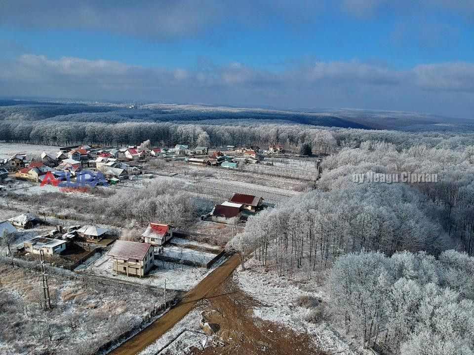 COMISION 0% -Casa deosebita Ciocanai - Poză 50