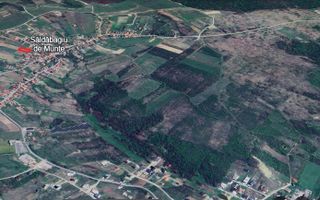 Teren intravilan Saldabagiu de Munte 1100m - Poză 3