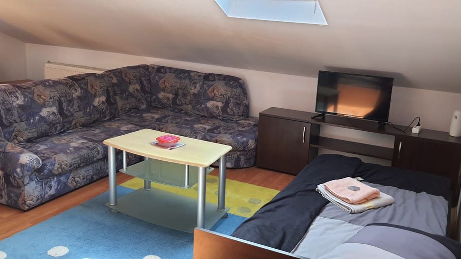 Apartament cu o cameră / Mansardă/ 45 mp/ confort lux/ utilată - Poză 3