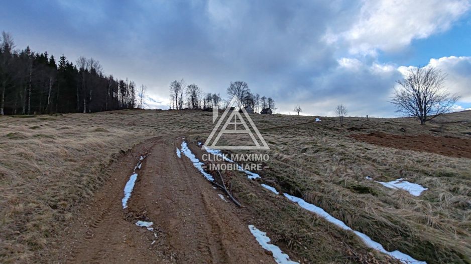 19.5 Hectare în Zona Turistică Montană – Bulz, Bihor - Poză 9